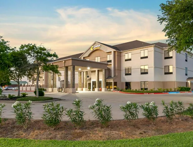 Comfort Suites La Porte - Baytown hotel detail image 4