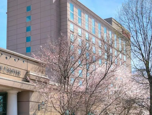 Franklin Marriott Cool Springs hotel detail image 3