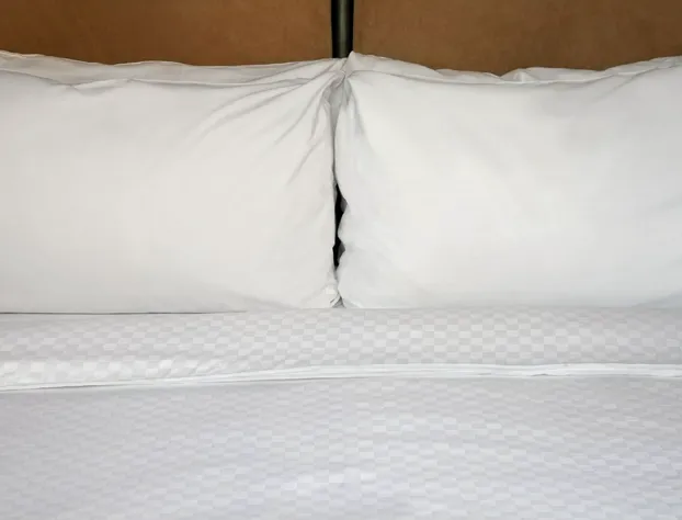 Four Points by Sheraton Houston Greenway Plaza hotel detail image 2