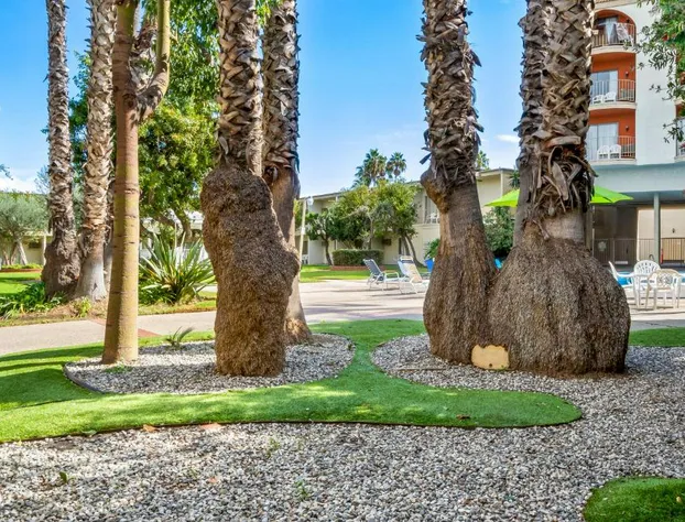 Golden Sails Hotel hotel detail image 1