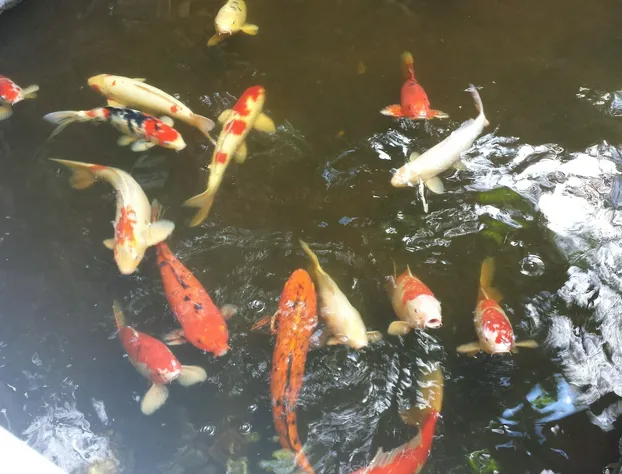 Bonaventure Resort and Spa hotel detail image 1