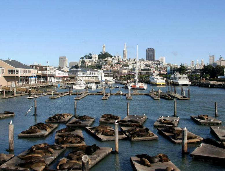 Hotel Zoe Fisherman's Wharf hotel detail image 2