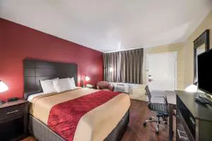 Econo Lodge I-40 exit 286 Holbrook hotel detail image 1