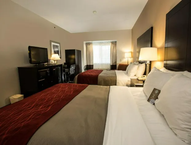 Comfort Inn Mount Airy hotel detail image 1