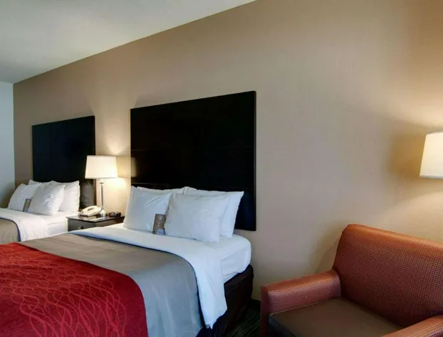 Comfort Inn Mount Airy hotel detail image 2
