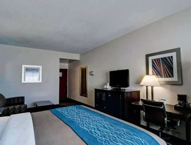 Comfort Inn Mount Airy hotel detail image 3