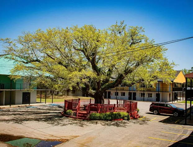 Super 8 by Wyndham Biloxi hotel detail image 3