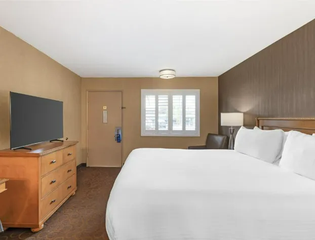 Best Western Plus Pavilions hotel detail image 4