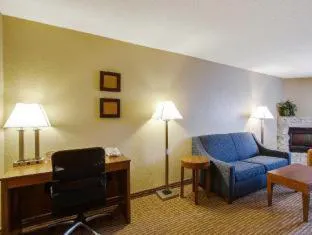 Comfort Inn & Suites Bellevue - Omaha Offutt AFB hotel detail image 1