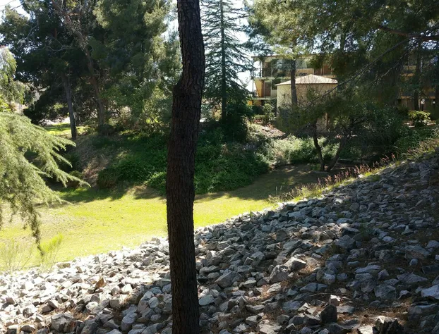 Mariposa Hotel hotel detail image 3