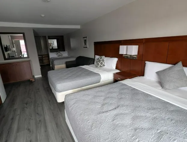 7 Nights Stay hotel detail image 4