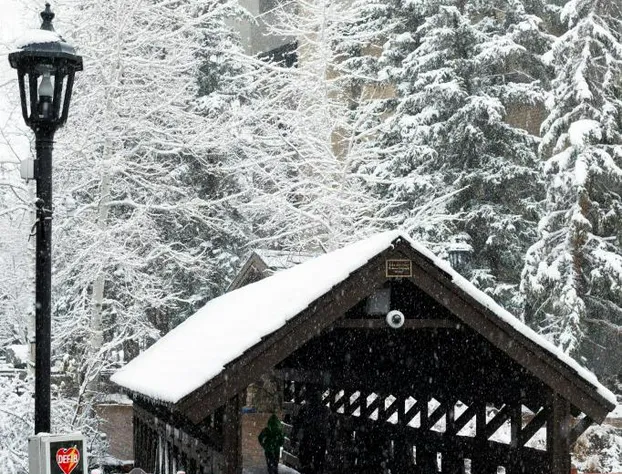 Vail's Mountain Haus hotel detail image 3