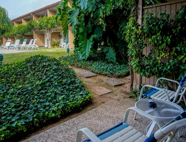 Best Western Plus Pepper Tree Inn hotel detail image 1