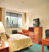 The Loyal Inn hotel detail image 3