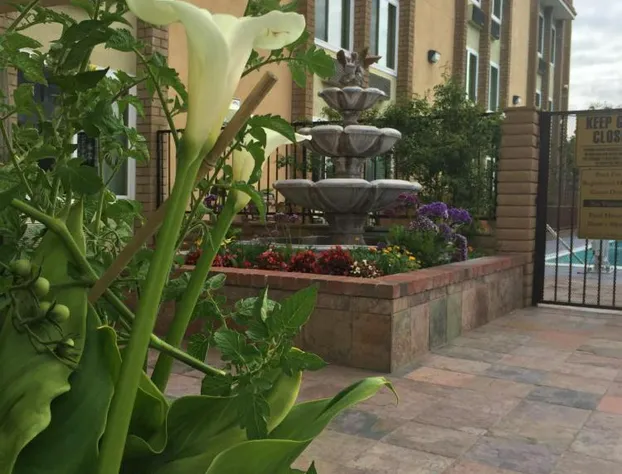 Best Western Plus South Bay Hotel hotel detail image 2