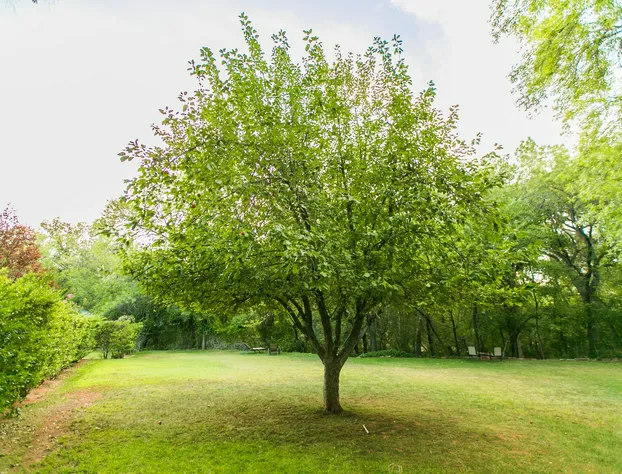 Creekside Inn Sedona hotel detail image 2