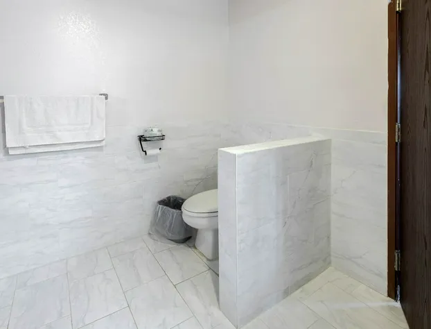 OYO Hotel Chesaning Route 52 & Hwy 57 hotel detail image 3