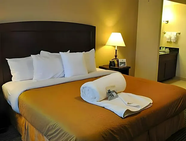 Homewood Suites By Hilton Dallas-Market Center hotel detail image 2