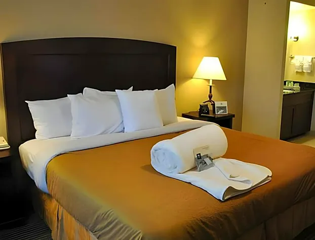 Homewood Suites By Hilton Dallas-Market Center hotel detail image 3