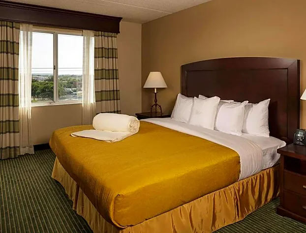 Homewood Suites By Hilton Dallas-Market Center hotel detail image 4