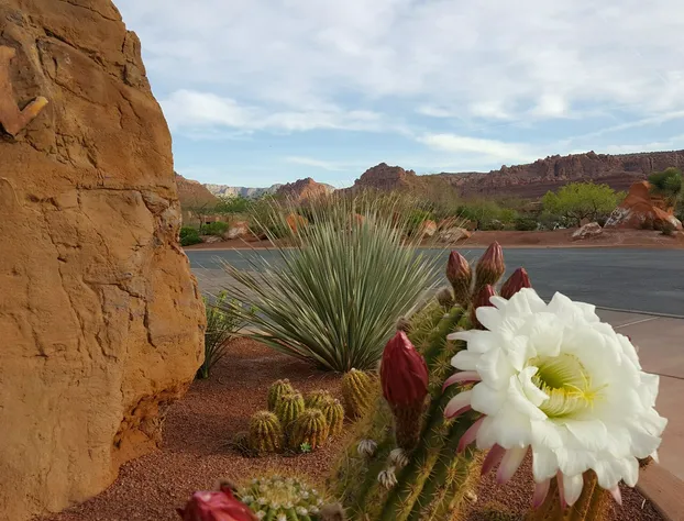 The Inn At Entrada hotel detail image 4