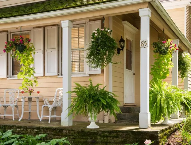 Devonfield Inn B&B hotel detail image 1