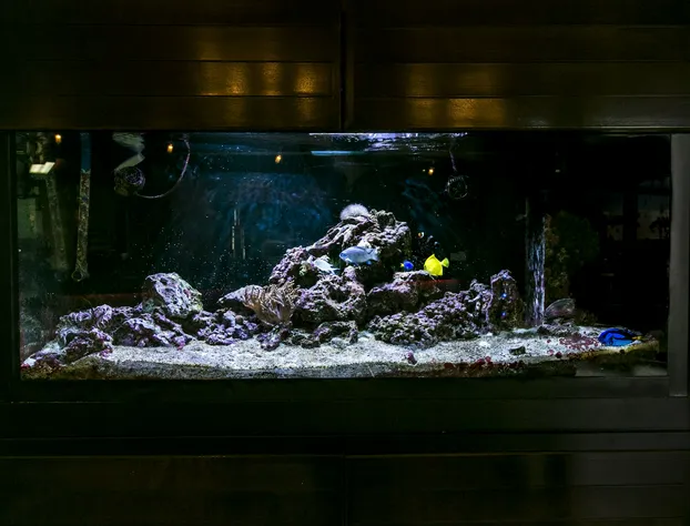 Ramada by Wyndham Edmonton Yellowhead NW hotel detail image 4