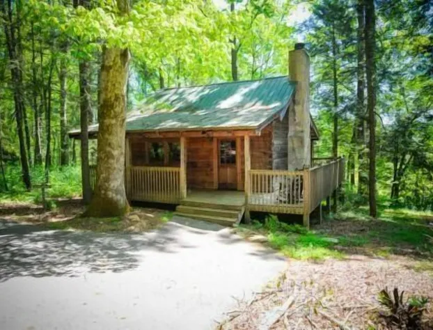 Dancing Bear Lodge hotel detail image 4