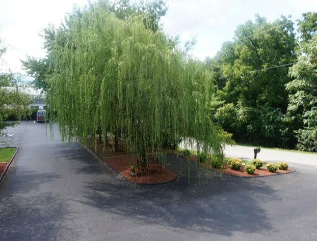 Affordable Corporate Suites of Overland Drive hotel detail image 3