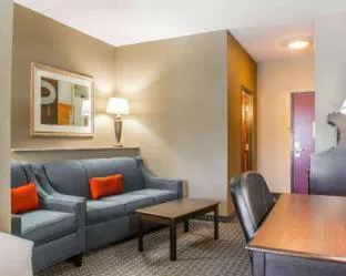 Comfort Suites Near Texas A&M University - Corpus Christi hotel detail image 3