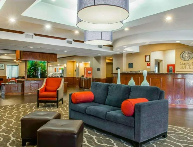 Comfort Suites Near Texas A&M University - Corpus Christi hotel detail image 4