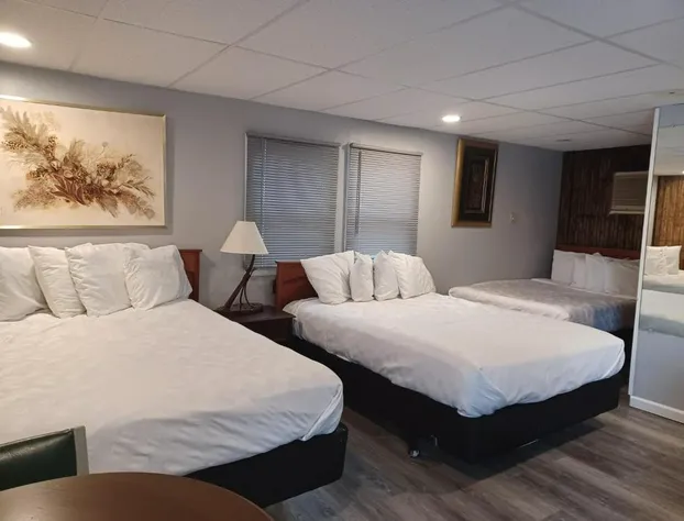 Falls Motel hotel detail image 4