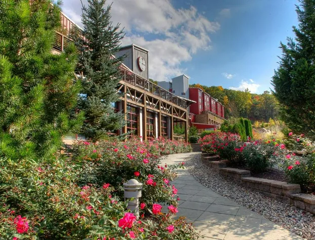 Bear Creek Mountain Resort hotel detail image 3