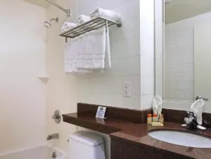 Days Inn by Wyndham Bronx Near Stadium hotel detail image 4