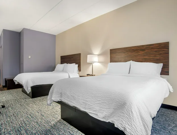 Garner Hotel Panama City Beach Northeast by IHG hotel detail image 4