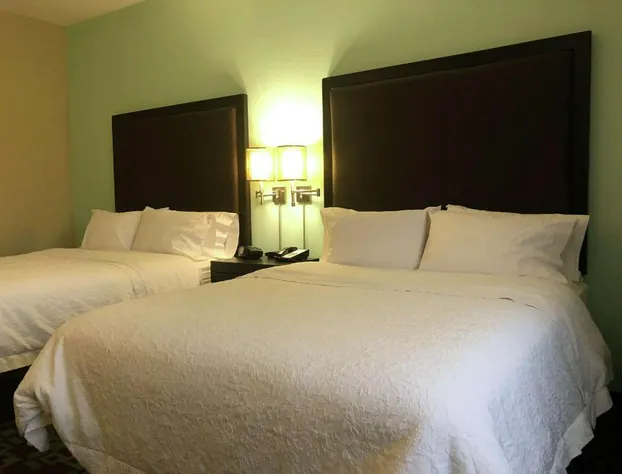 Hampton Inn & Suites Nashville @ Opryland hotel detail image 3