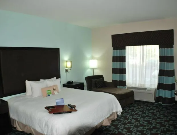 Hampton Inn & Suites Nashville @ Opryland hotel detail image 4