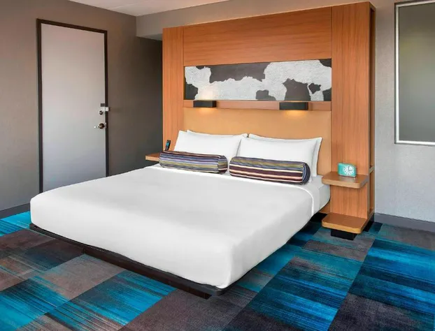 Aloft Nashville Franklin hotel detail image 1