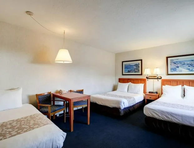 Newport Channel Inn - Near Huntington State Beach hotel detail image 2