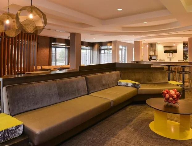 SpringHill Suites by Marriott Detroit Metro Airport Romulus hotel detail image 3