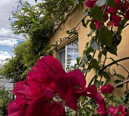 Chardonnay Lodge hotel detail image 1