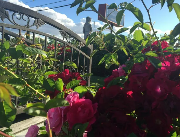 Chardonnay Lodge hotel detail image 4