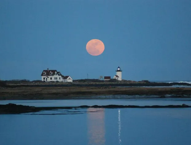 The Lodge at Turbat's Creek hotel detail image 3