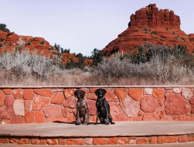 Red Agave Resort hotel detail image 4