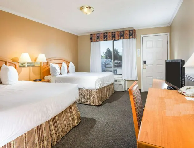 Econo Lodge Inn & Suites hotel detail image 4