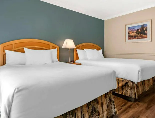 Econo Lodge Inn & Suites hotel detail image 4