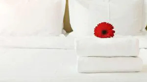 American Inn And Suites Childress hotel detail image 3