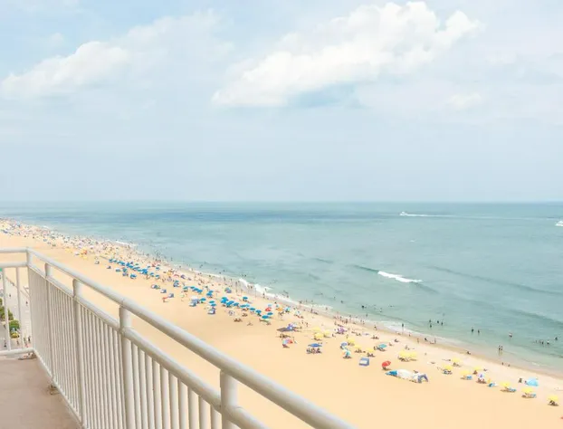 Comfort Suites Beachfront hotel detail image 4