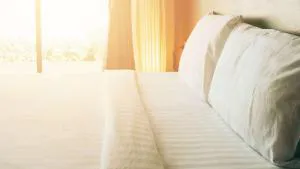 Budget Inn of Lynchburg and Bedford hotel detail image 3