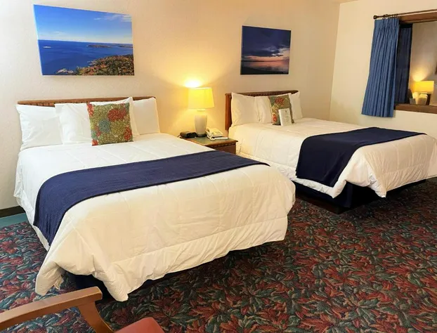 Cedar Motor Inn hotel detail image 4